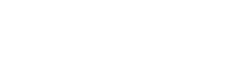 Delfio Holdings
